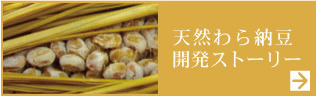 天然わら納豆 開発ストーリー